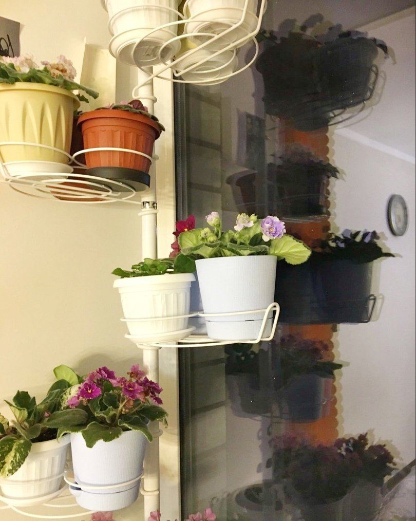 подставка для кактусов и деток растений. Фото N8