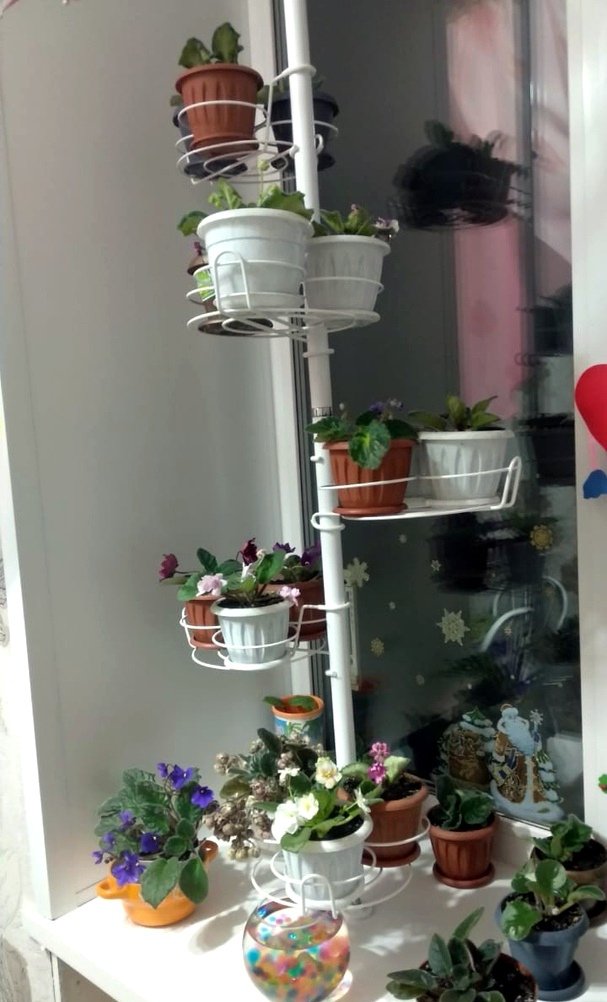 подставка для кактусов и деток растений. Фото N7