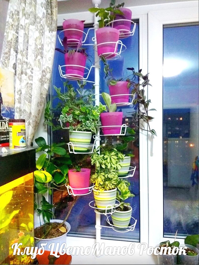 распорка металлическая для растений на окно. Фото N11