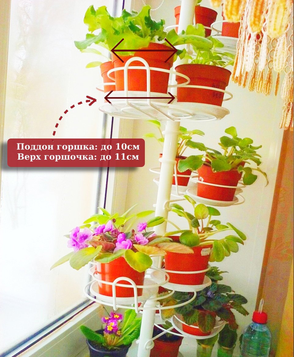 подставка для кактусов и деток растений. Фото N5